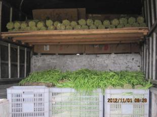 四川中江縣優質新鮮韭黃批量供應，誠邀批發商合作