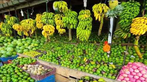 韓國農(nóng)副產(chǎn)品的價(jià)格現(xiàn)狀