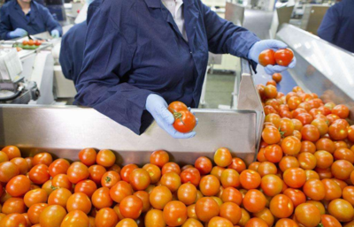 從田間到餐桌 農副食品加工業的內涵、現狀與未來展望